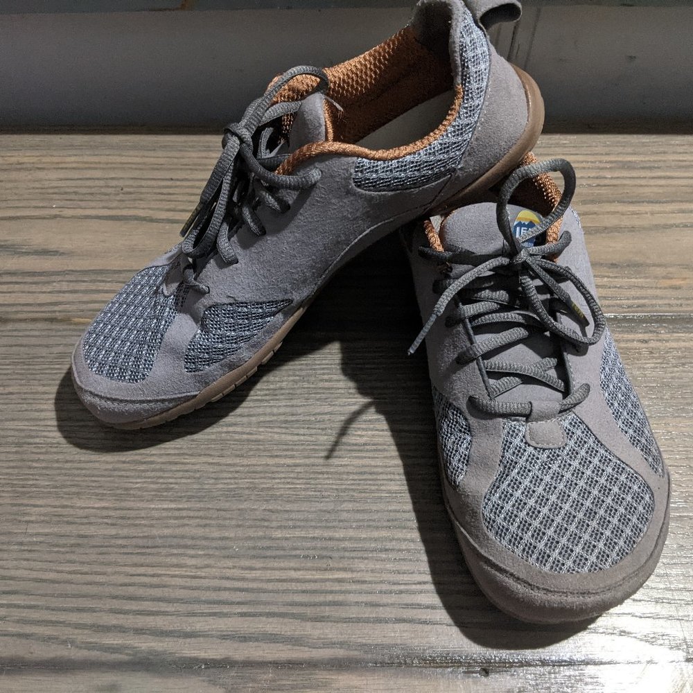 LEMS PRIMAL 2